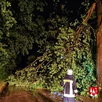 68d25ac7-7ba6-49d4-9521-1ac1b610d060.png